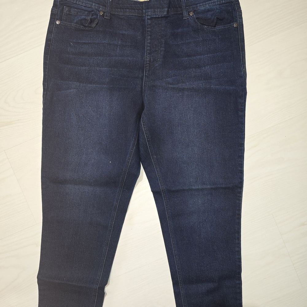 #28 PXL DG2 by Diane Gilman Dark Indigo Skinny Jeans